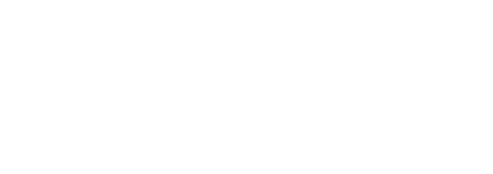 D.M.O. DETTAGLIO MODERNO ORGANIZZATO S.P.A.